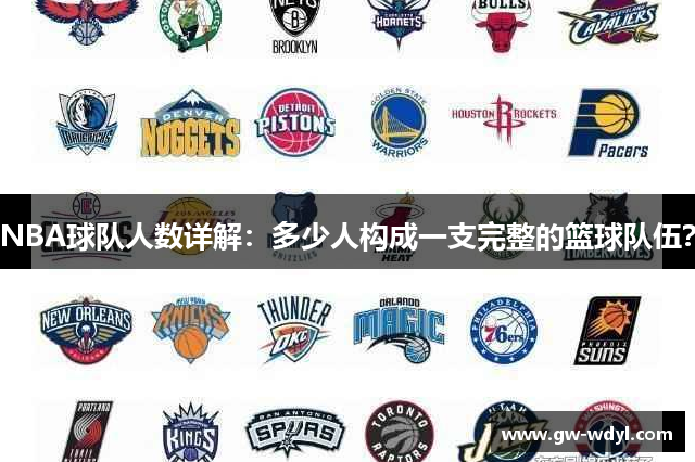 NBA球队人数详解：多少人构成一支完整的篮球队伍？