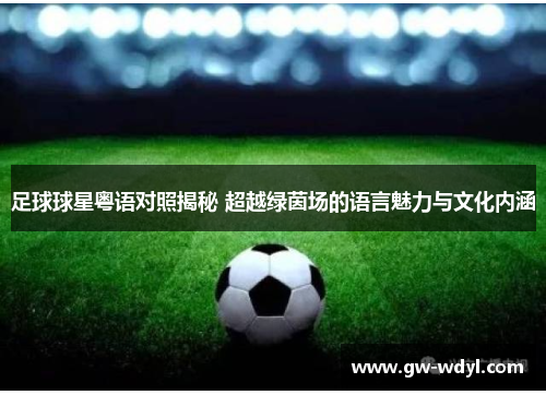 足球球星粤语对照揭秘 超越绿茵场的语言魅力与文化内涵