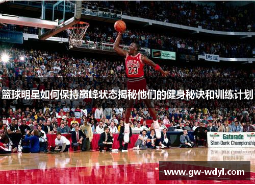 篮球明星如何保持巅峰状态揭秘他们的健身秘诀和训练计划
