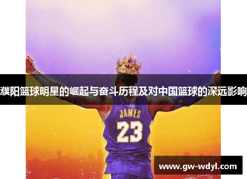 濮阳篮球明星的崛起与奋斗历程及对中国篮球的深远影响